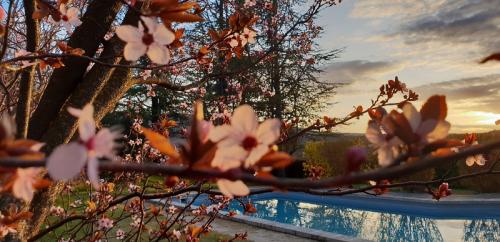 Location de charme avec piscine en Luberon